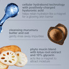 magnetic[+] afterglow cleanser