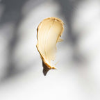 Multivitamin Power Recovery Masque Travel Size